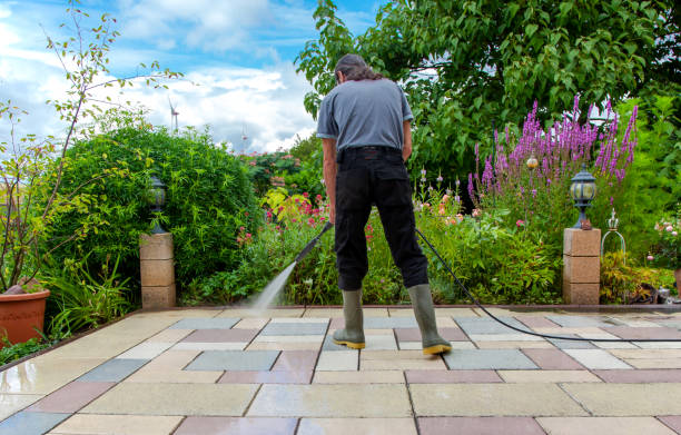 Best Roof Cleaning and Mildew Removal in Old Bethpage, NY